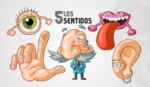 10 MENTIRAS sobre el cuerpo humano que aún enseñan en la escuela
