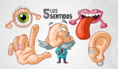 10 MENTIRAS sobre el cuerpo humano que aún enseñan en la escuela