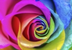 7 fascinantes explicaciones sobre cómo algunas cosas obtuvieron su color