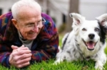 8 cosas sorprendentes que quizás no sepas sobre tu perro.