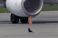 Amenaza de bomba en Brasil provoca cierre de aeropuerto