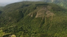 Califican de “bochornoso” veto presidencial a Loma Miranda