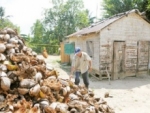Cáscara de coco en Nagua no es basura, sino un negocio
