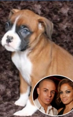 Casper Smart imita a Lamar Odom y Le Regala a J.Lo un Cachorro.