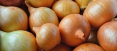 Cebolla, un medicamento natural.