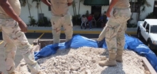 Cesfront incauta 779 sacos de ajo con un peso de 17 mil libras .