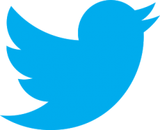 Cómo aumentar seguidores en Twitter.