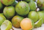 ¿Cocinar con limoncillos?