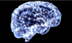 Cómo se autorregula tu cerebro
