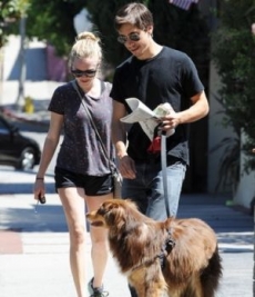 Confirman romance de Seyfried y Long
