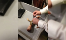 Confiscan pistola a “Woody” de Toy Story en aeropuerto de Inglaterra