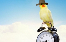 Cuatro cosas que las personas con éxito hacen en las primeras horas del día