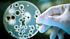 Diseñan una bacteria que defeca gasolina