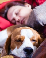 Dormir con tu mascota, ¿sí o no?
