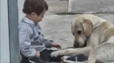 El perro y el niño con síndrome de Down que conmueve la web.
