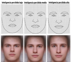 El rostro revela el nivel de inteligencia de una