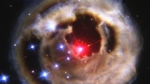 El telescopio Hubble capta la increíble explosión de una estrella durante 4 años