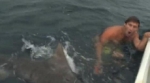 El terrorífico momento en el que un bañista sufre el ataque de un tiburón tigre