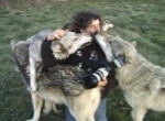 Emocionante video de la comunión entre fotógrafo y lobos