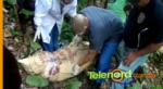 Encuentran cadaver dentro de un saco con una nota que decia ´´muerto por chivato y ladron´´