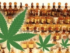 Fabrican perfume de marihuana