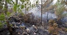 Fuego en Valle Nuevo ha disminuido, dice Medio Ambiente