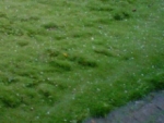Fuertes lluvias y granizadas afectan Moca y Santiago