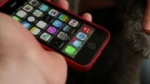 Gato desbloquea con su pata el iPhone 5s