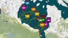 Google añade osos polares a su servicio de mapas.