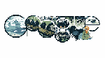 Google homenajea a Dian Fossey.