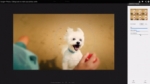 Google Plus se pone las pilas de nuevo con las fotografías pero solo en Chrome