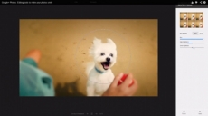 Google Plus se pone las pilas de nuevo con las fotografías pero solo en Chrome
