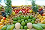 Haití prohibe entrada de frutas y hortalizas de República Dominicana