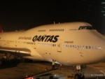 Hallan culebra en avión en Australia