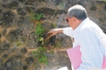 Hallan obras realizadas por Gregorio Luperón