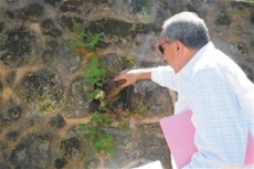 Hallan obras realizadas por Gregorio Luperón