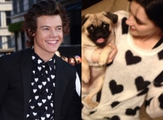 Harry Styles cumple el sueño de una adolescente enferma