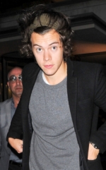 ¡Harry Styles le pidió matrimonio a una fan!