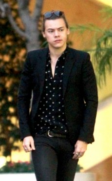 Harry Styles se somete a tratamientos faciales con placenta de oveja