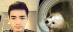 Joven mata perro en lavadora y publica fotos en Facebook