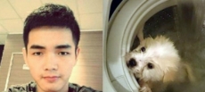 Joven mata perro en lavadora y publica fotos en Facebook