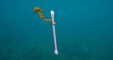 La fotografía que conmovió al mundo este 2017