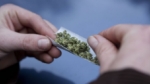 La marihuana podría afectar la fertilidad de los hombres jóvenes, según estudio