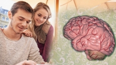 Las personas sociables tienen el cerebro más grande.
