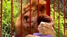 León reconoce y abraza a su salvadora.
