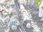 Lo que encontraron en una playa de RD