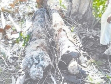 Lo que encontraron en una playa de RD