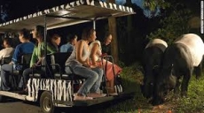 Los 10 mejores zoológicos y acuarios del mundo, según TripAdvisor