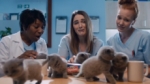 Los anuncios de perritos y gatitos mas vistos.