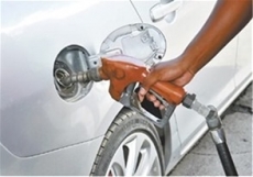 Los combustibles mantendrán sus precios